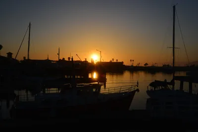 DSC_7304 (Large).JPG